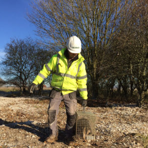 Artificial Badger Setts