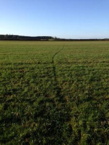 badger problem runway