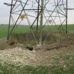 Badger sett site