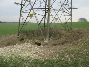 Badger sett site