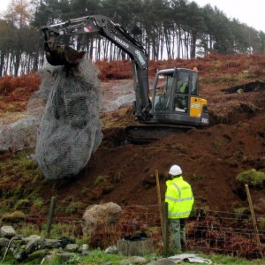 Badger sett closure