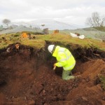 Exclusion of badger sett