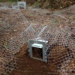 Mesh on Badger Sett