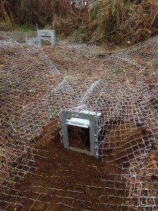 Mesh on Badger Sett