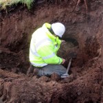 Badger Sett destruction