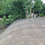 badger sett closure at hearsfield mount wire mesh