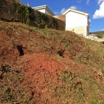 badger sett closure site clearance