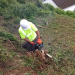 badger sett closure site clearance