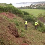 badger sett closure site clearance2