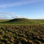 Badger Exclusion and Barrow Restoration Project, World Heritage Site Stonehenge