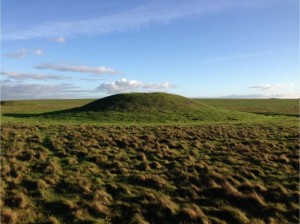 Badger Exclusion and Barrow Restoration Project, World Heritage Site Stonehenge