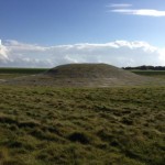 Badger Exclusion and Barrow Restoration Project, World Heritage Site Stonehenge