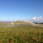 Badger Exclusion and Barrow Restoration Project, World Heritage Site Stonehenge