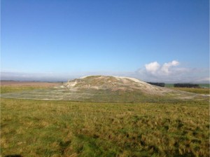 Badger Exclusion and Barrow Restoration Project, World Heritage Site Stonehenge