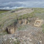 Badger Exclusion and Barrow Restoration Project, World Heritage Site Stonehenge