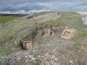 Badger Exclusion and Barrow Restoration Project, World Heritage Site Stonehenge