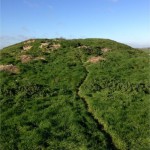 Badger Exclusion and Barrow Restoration Project, World Heritage Site Stonehenge