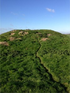 Badger Exclusion and Barrow Restoration Project, World Heritage Site Stonehenge