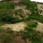 Badger Exclusion and Barrow Restoration Project, World Heritage Site Stonehenge