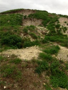 Badger Exclusion and Barrow Restoration Project, World Heritage Site Stonehenge