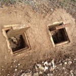 Badger Exclusion and Barrow Restoration Project, World Heritage Site Stonehenge