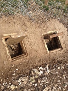 Badger Exclusion and Barrow Restoration Project, World Heritage Site Stonehenge