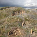 Badger Exclusion and Barrow Restoration Project, World Heritage Site Stonehenge