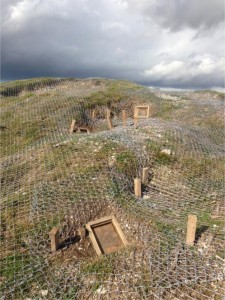 Badger Exclusion and Barrow Restoration Project, World Heritage Site Stonehenge