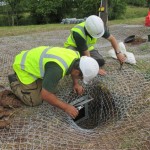 Sett Closure at St Eadburgha’s Church, Worcestershire