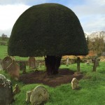 Sett Closure at St Eadburgha’s Church, Worcestershire