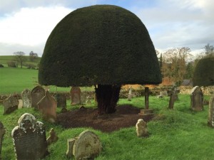 Sett Closure at St Eadburgha’s Church, Worcestershire