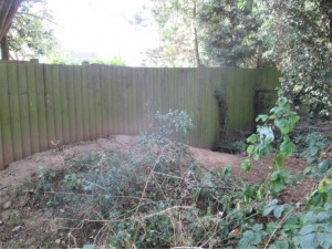 Badger Exclusion Fencing Loughborough