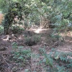 Badger Exclusion Fencing Loughborough