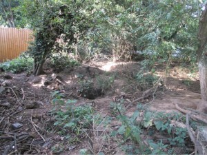 Badger Exclusion Fencing Loughborough