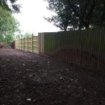 Badger Exclusion Fencing Loughborough