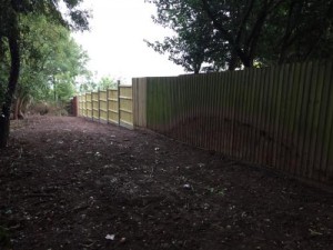 Badger Exclusion Fencing Loughborough